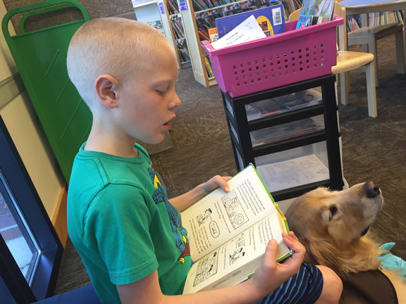 Reading to therapy dog